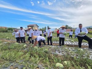 Lapas Padangsidimpuan Panen Raya Buah Semangka, Wujud Sinergi dengan Dinas Pertanian